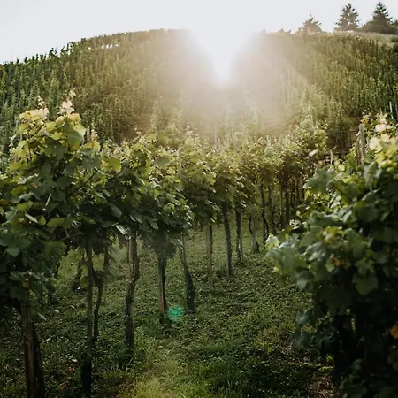 Weingut Meurer *
