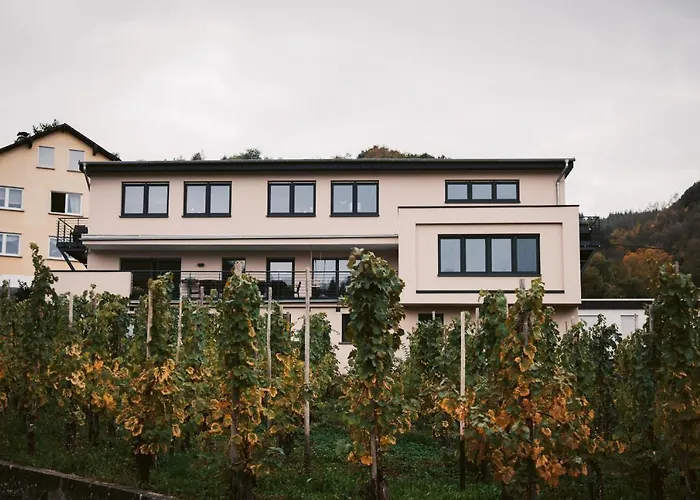 Weingut Meurer רייל